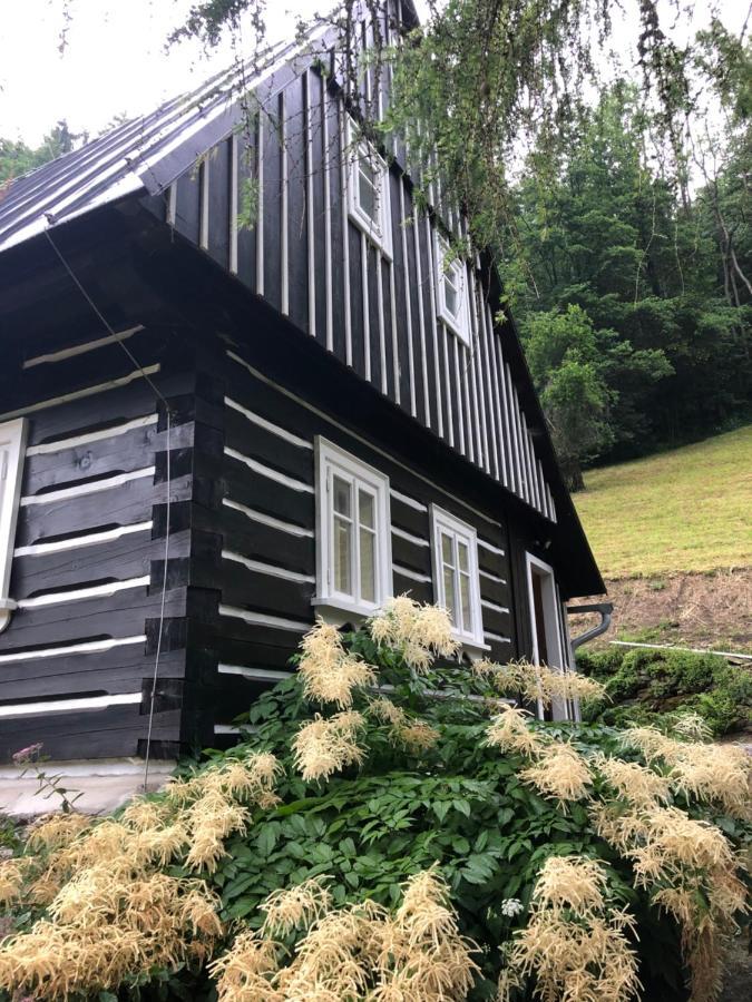 Roubenka Bratrouchov Vila Jablonec nad Jizerou Exterior foto